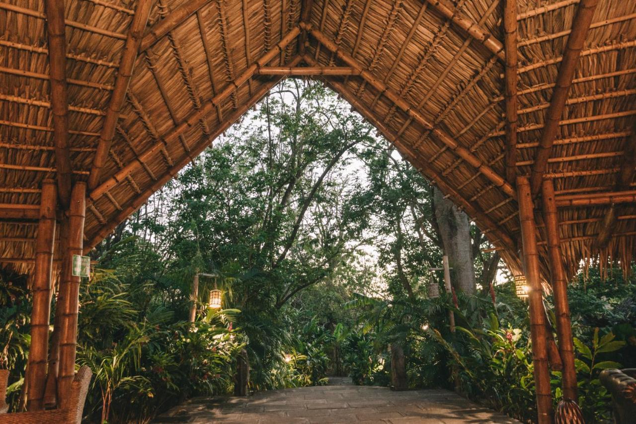 Dreamsea Surf Resort Nicaragua San Juan del Sur Ngoại thất bức ảnh