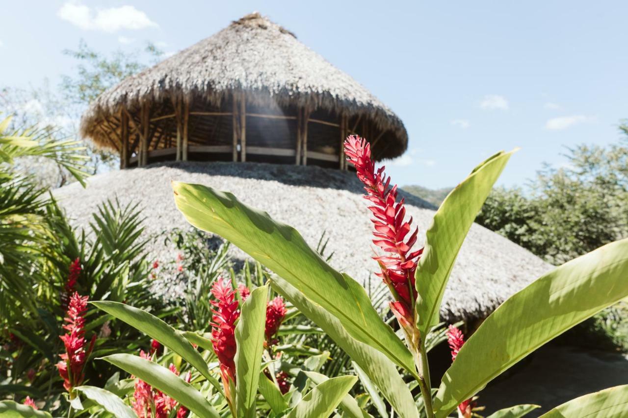 Dreamsea Surf Resort Nicaragua San Juan del Sur Ngoại thất bức ảnh
